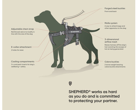 Why Evapourative Cooling Vests Fall Short in Australian Summers