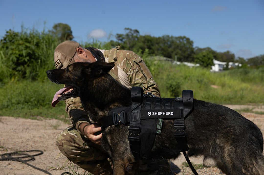 Tactical Harness