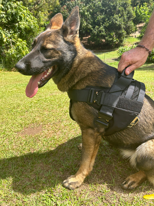Lite Harness - Pre Order