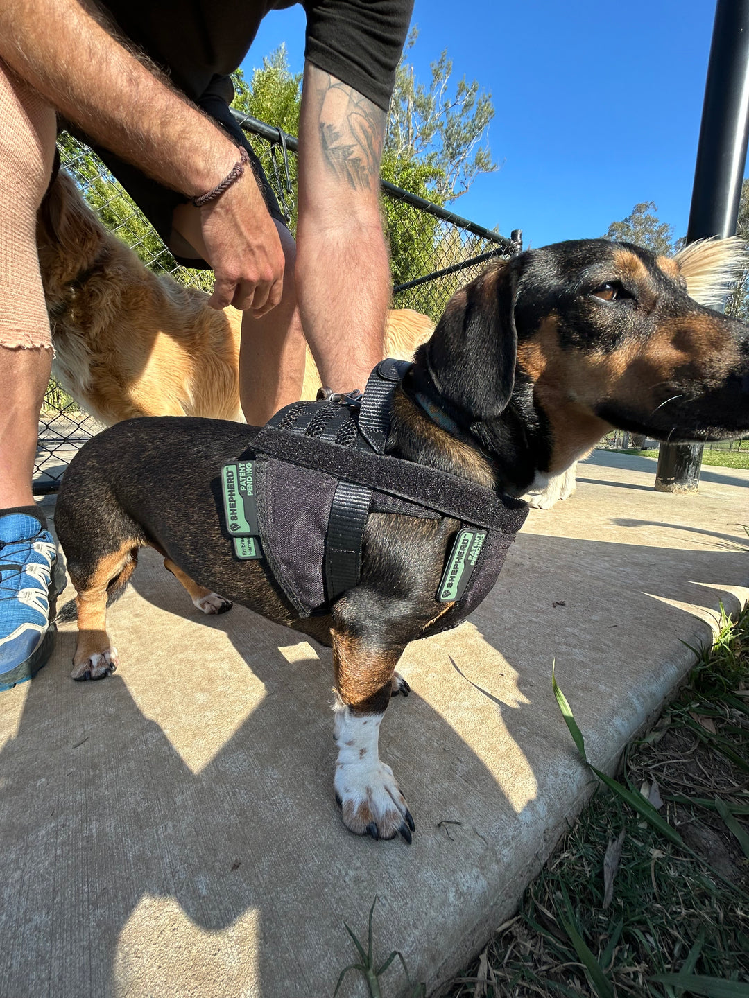 Lite Harness - Pre Order