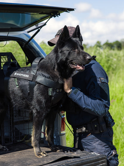 Tactical dog harness