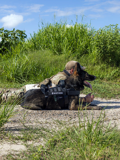 Tactical dog harness