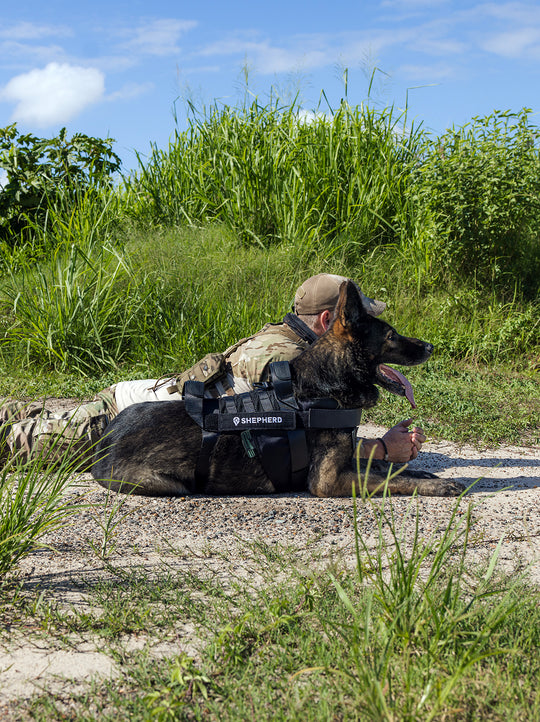 Tactical Harness