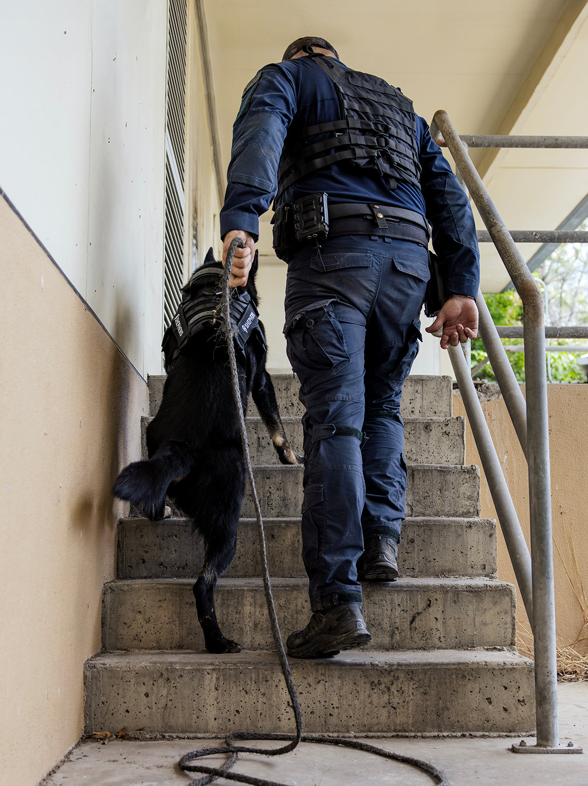 Tactical dog harness