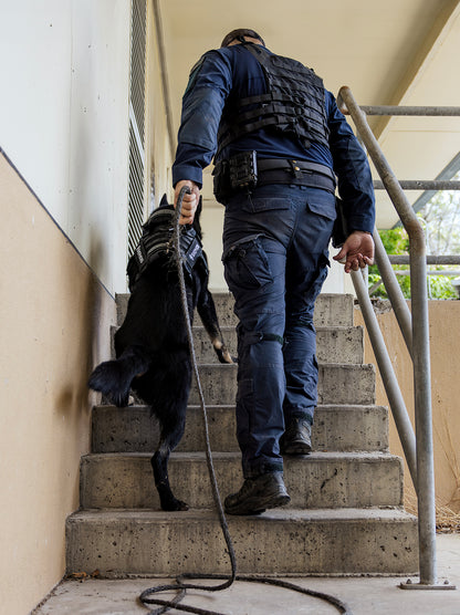 Tactical dog harness