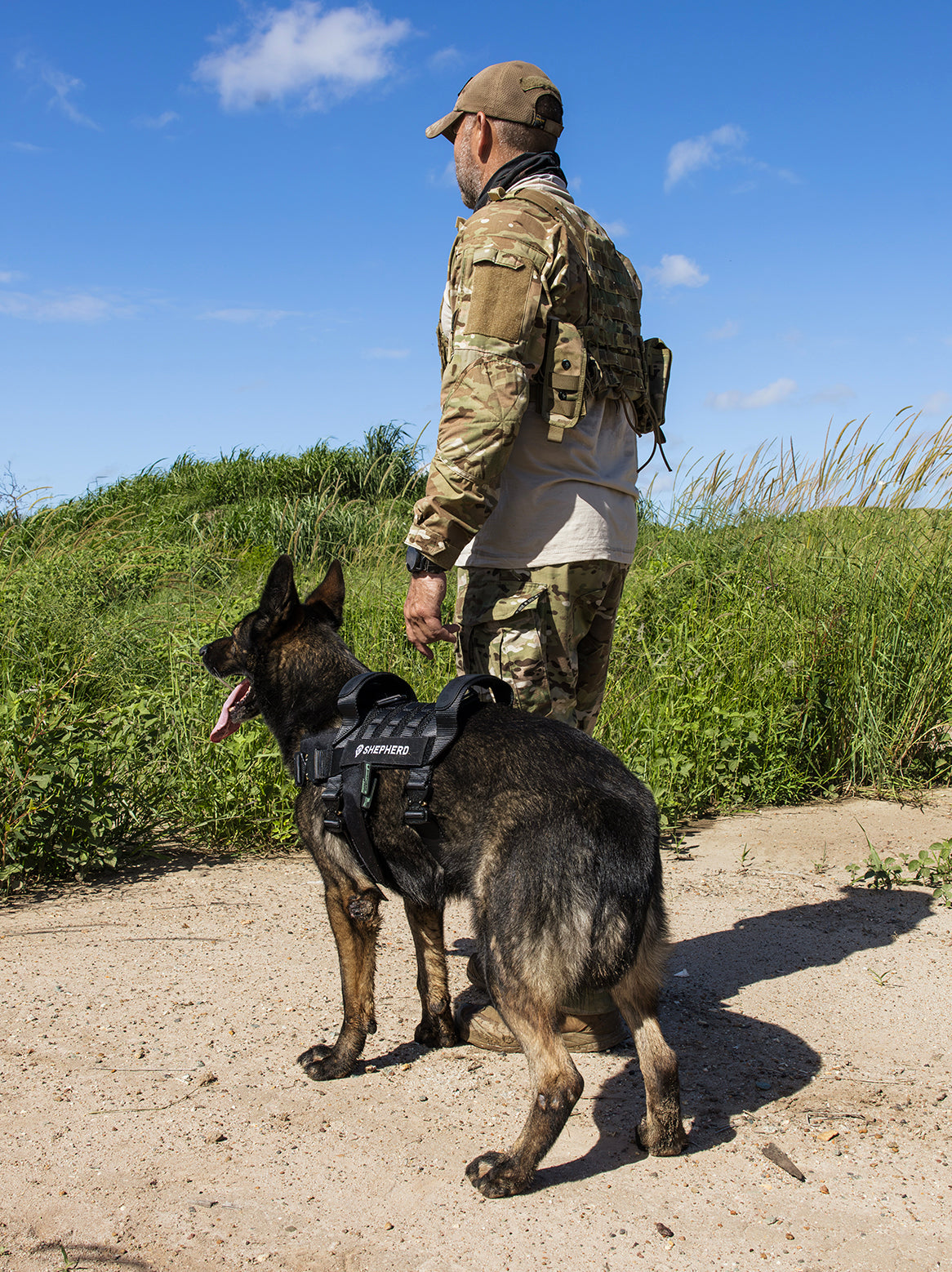 Tactical dog harness