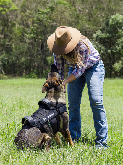 Tactical dog harness