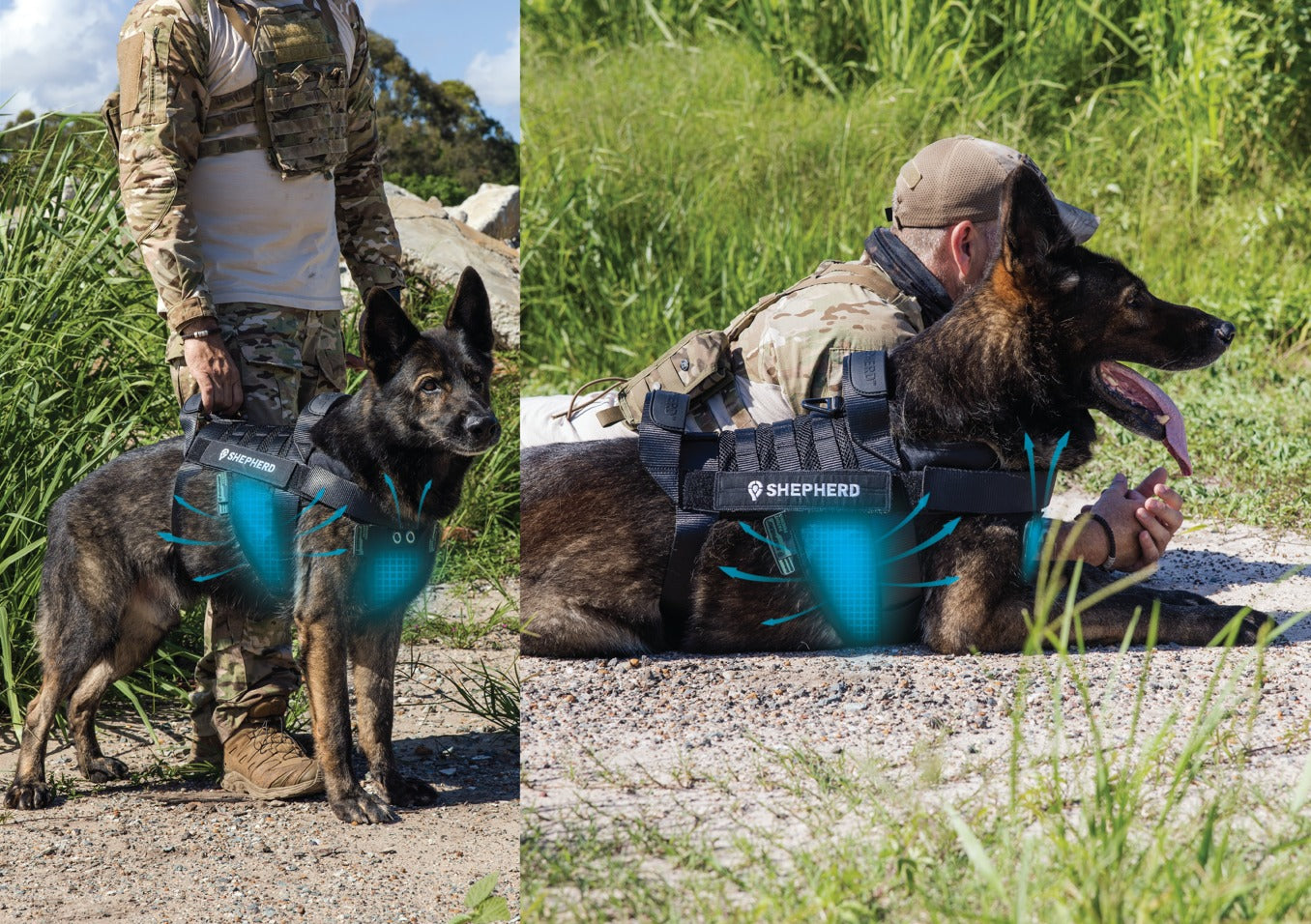Two images of a German Shepherd dog wearing harness with a person in tactical gear in a natural setting. Teal overlays on harness showing gel pack placement on chest and armpit hold. Text overlay: "Cooling Where it Counts."